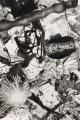 Peter Hock: Zabriskiepoint, 2018, charcoal on paper, 150 x 100 cm

